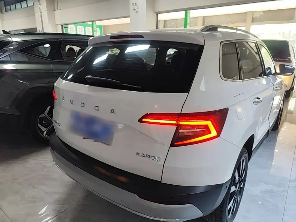 Skoda Karoq — фото 8