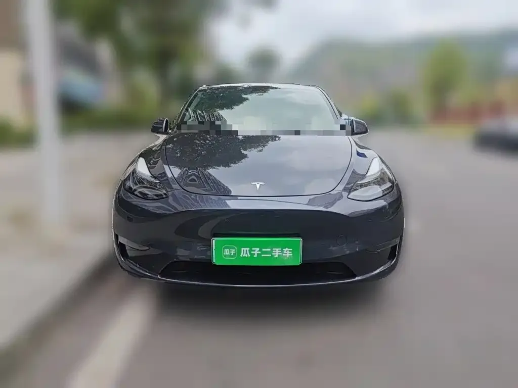 Tesla Model Y — фото 2