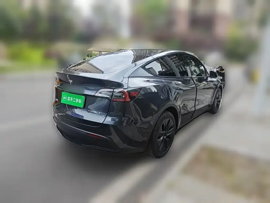 Tesla Model Y — фото 8