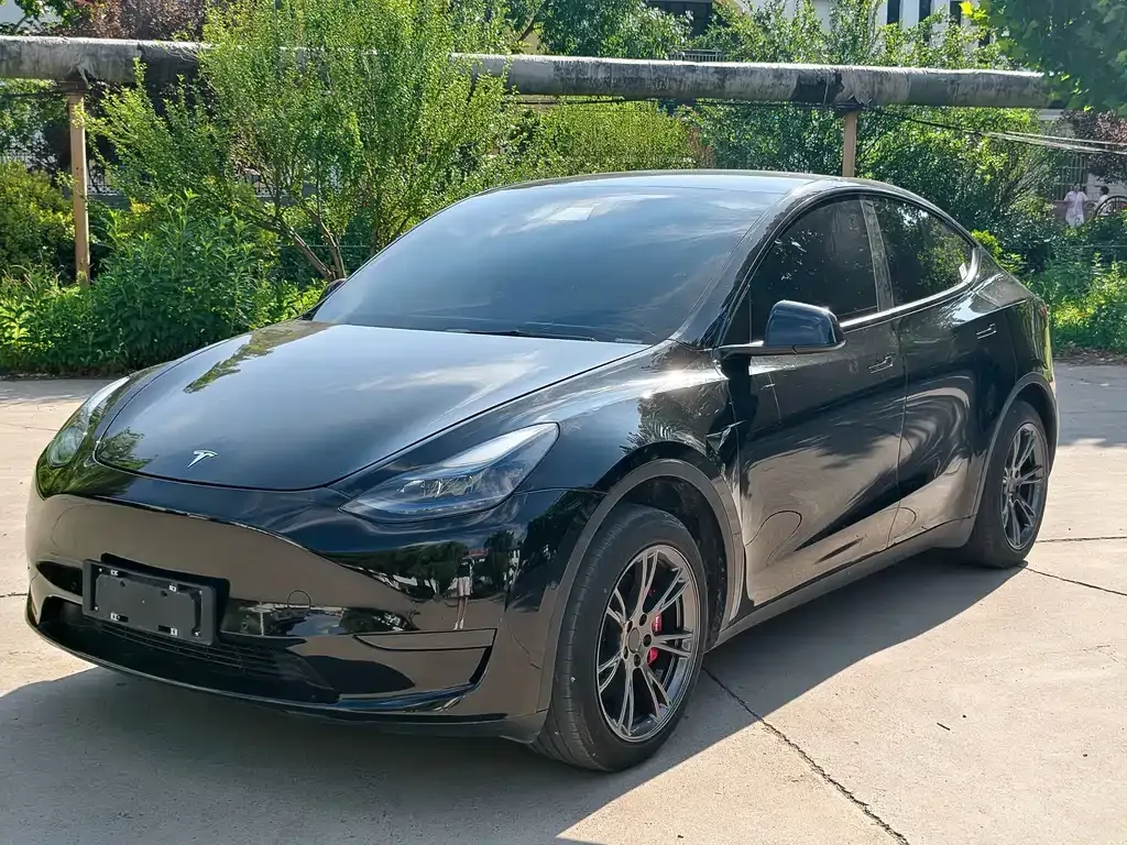 Tesla Model Y — фото 1