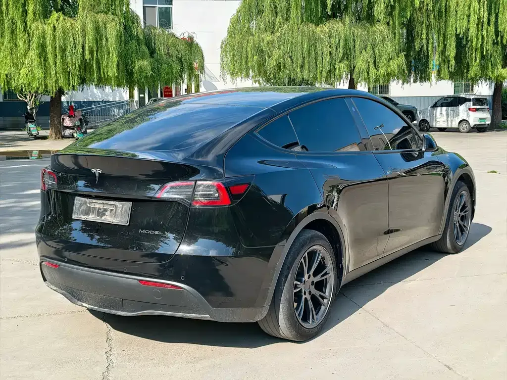 Tesla Model Y — фото 9