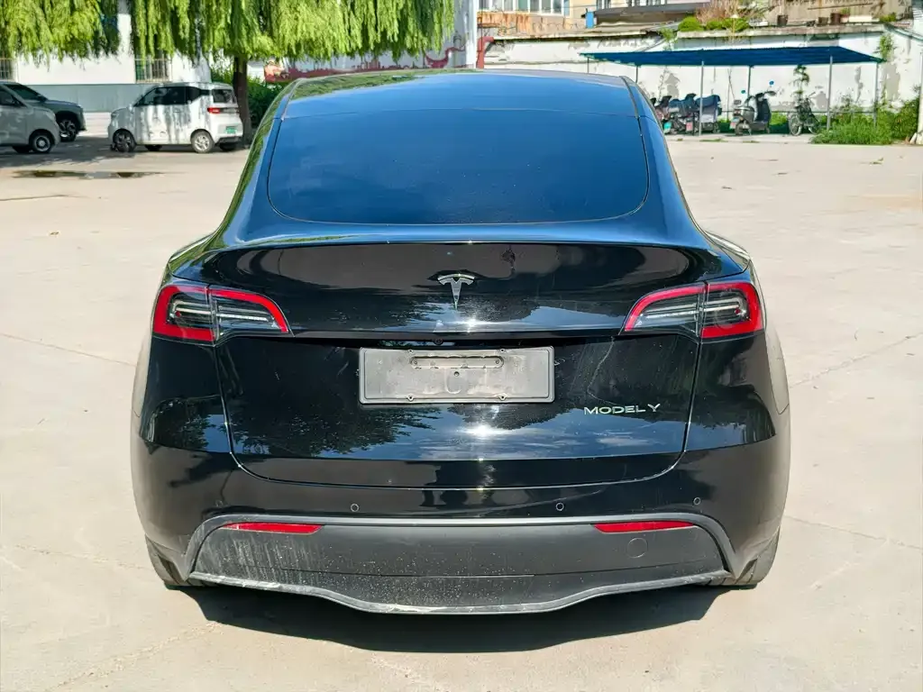 Tesla Model Y — фото 6