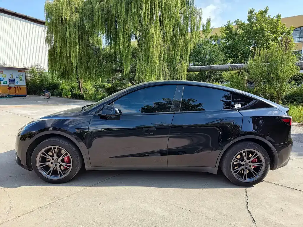 Tesla Model Y — фото 10