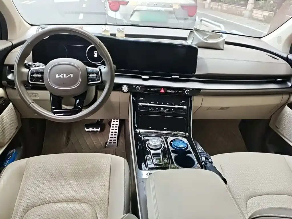 Kia Carnival — фото 10