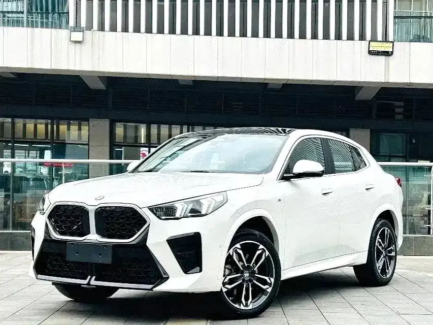 BMW X2 (Import) — фото 1