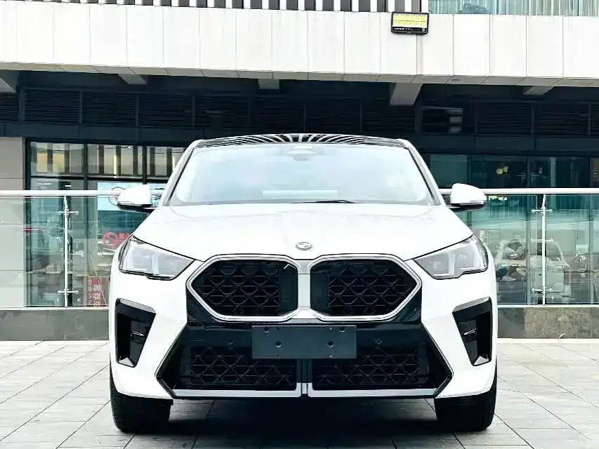 BMW X2 (Import) — фото 4