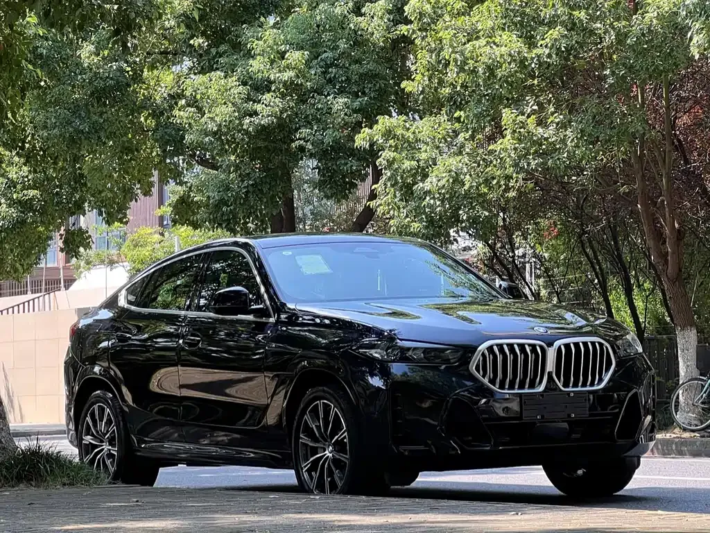 BMW X6 — фото 10