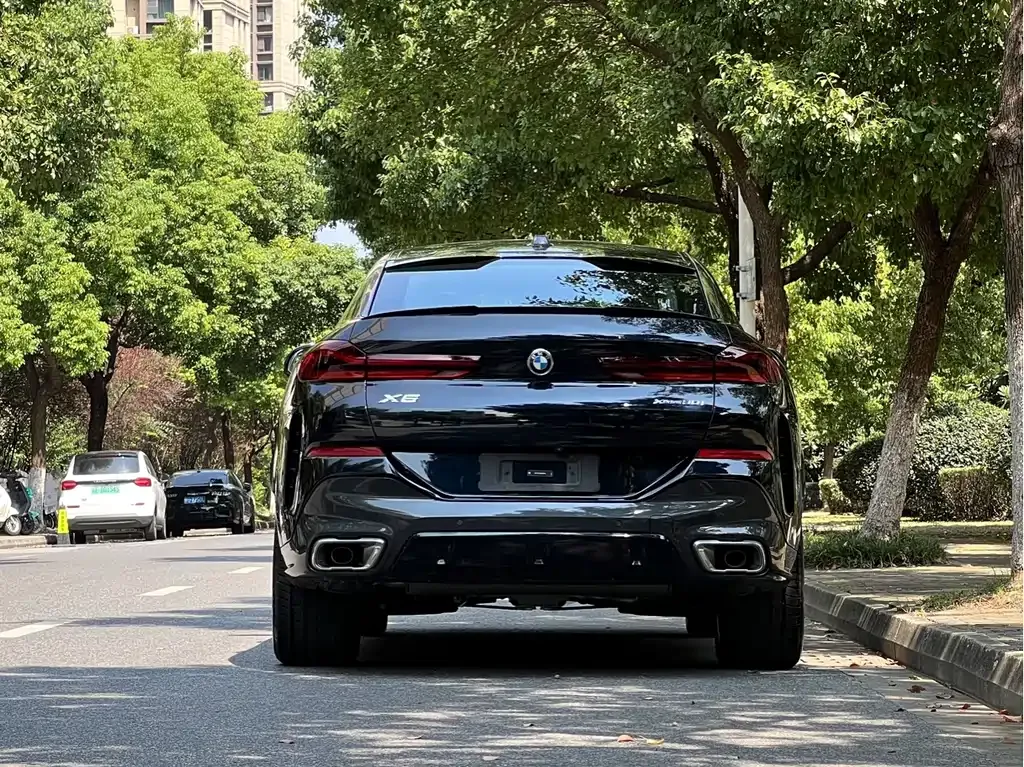 BMW X6 — фото 6
