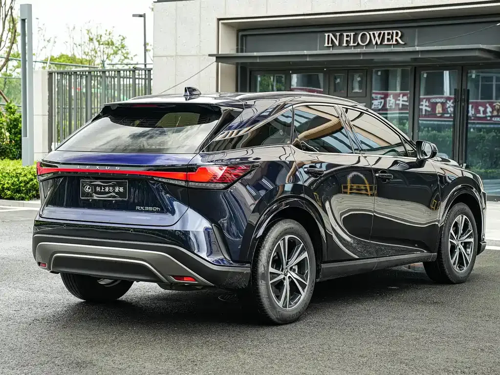 Lexus RX — фото 9