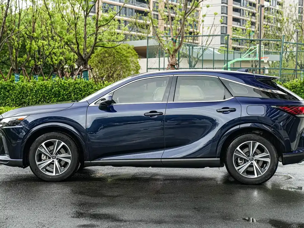 Lexus RX — фото 10