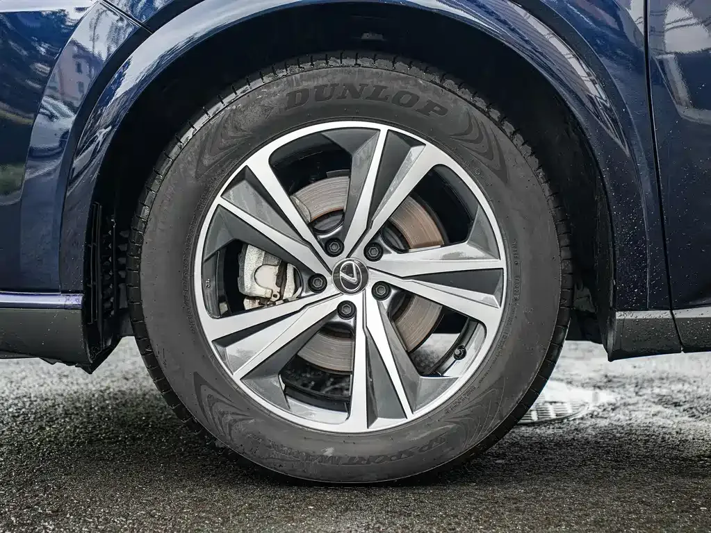 Lexus RX — фото 8