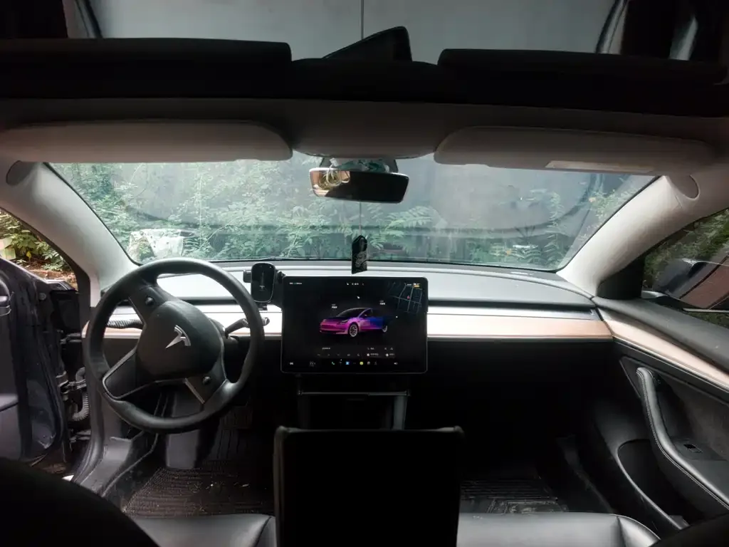 Tesla Model 3 — фото 2