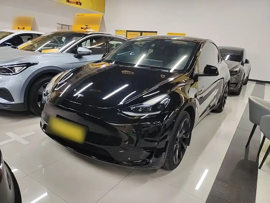 Tesla Model Y — фото 1