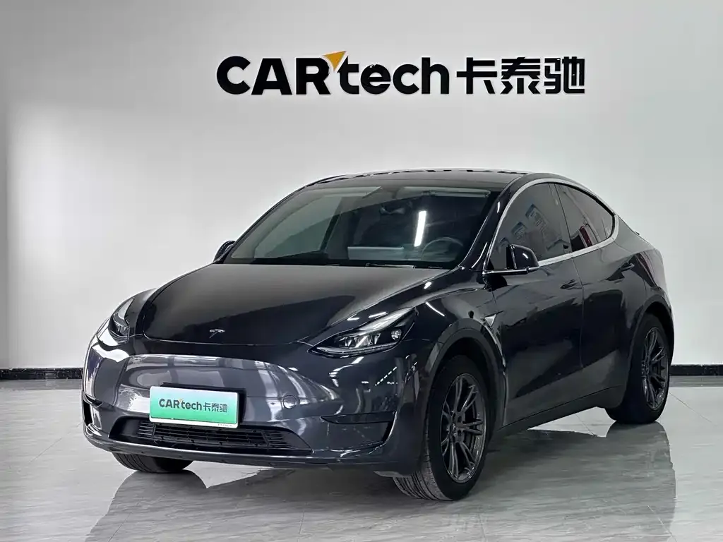 Tesla Model Y — фото 1