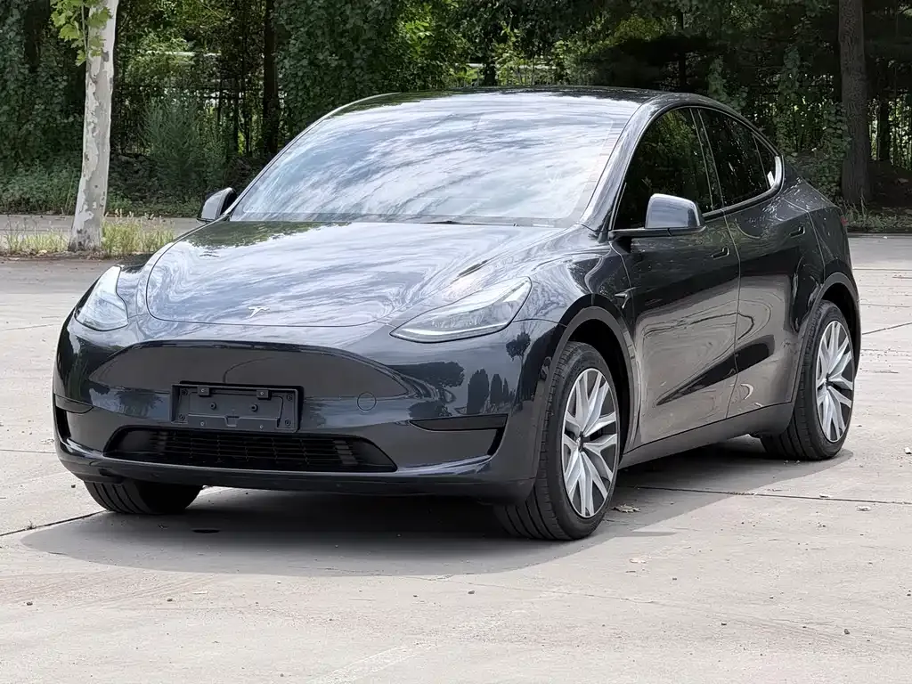 Tesla Model Y — фото 1