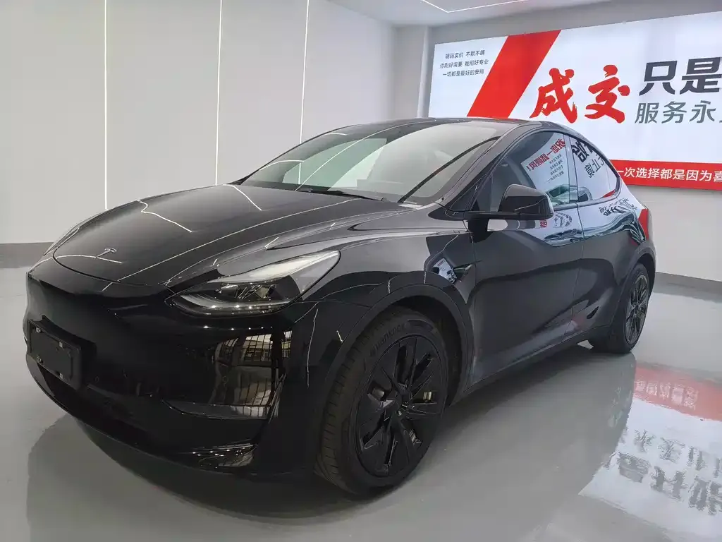 Tesla Model Y — фото 1