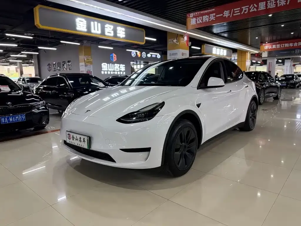 Tesla Model Y — фото 1