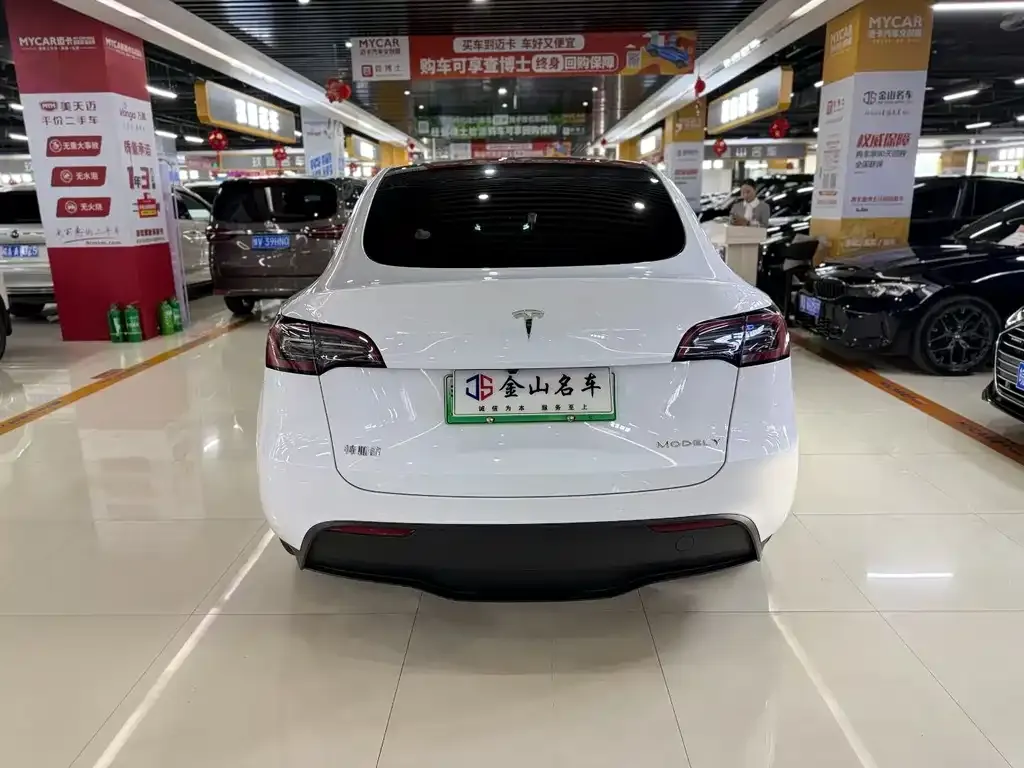 Tesla Model Y — фото 3