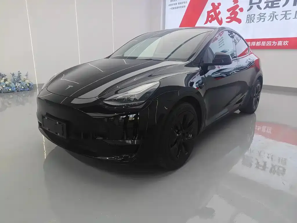 Tesla Model Y — фото 1