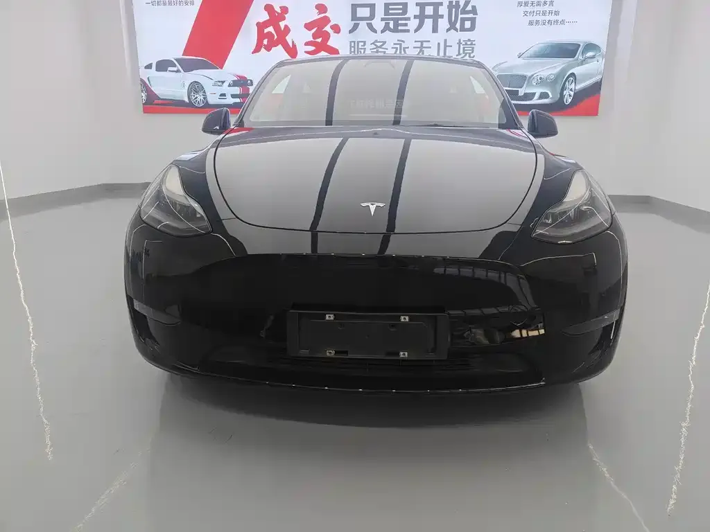 Tesla Model Y — фото 3