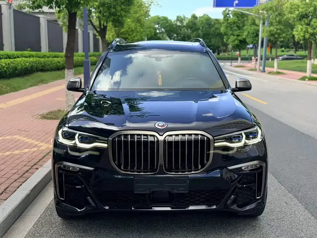 BMW X7 — фото 7