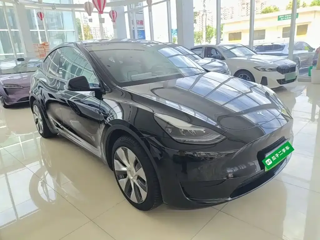 Tesla Model Y — фото 3