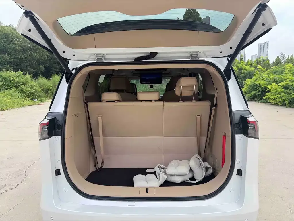 Buick GL8 Hybrid — фото 9
