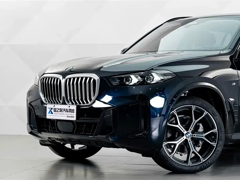 BMW X5 — фото 10