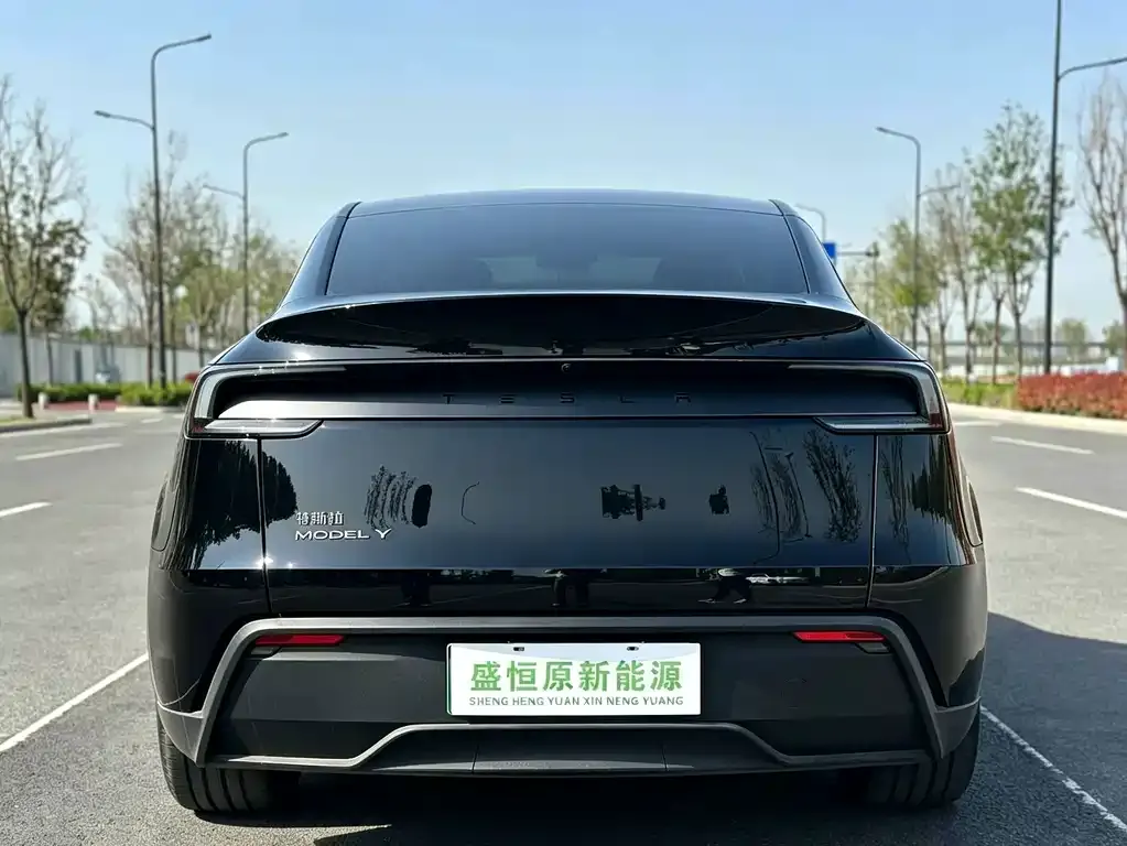 Tesla Model Y — фото 2