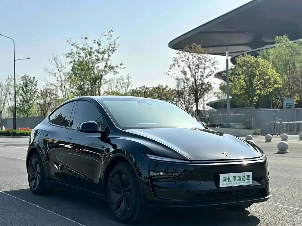 Tesla Model Y — фото 4