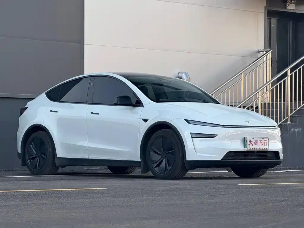 Tesla Model Y — фото 4