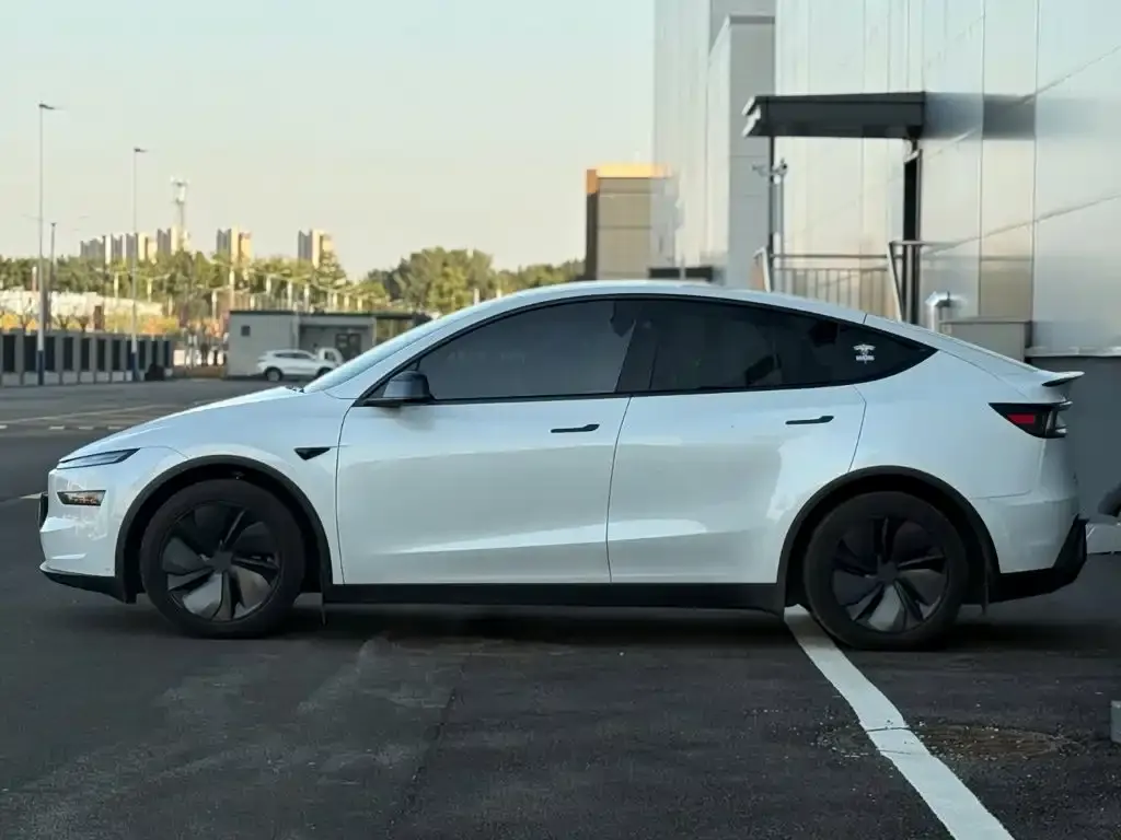 Tesla Model Y — фото 5