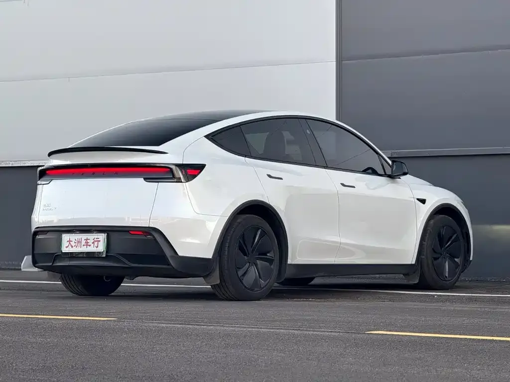 Tesla Model Y — фото 7