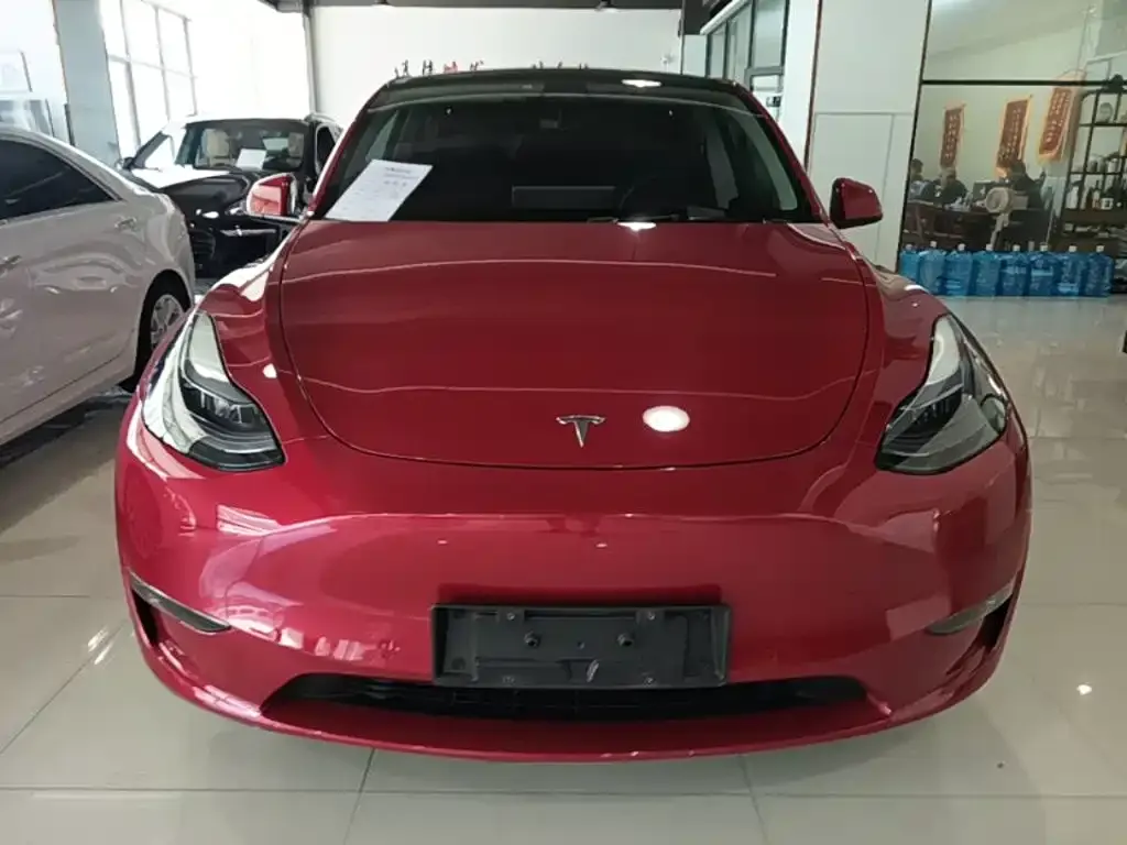 Tesla Model Y — фото 2