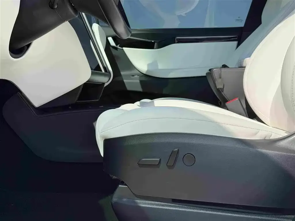 Tesla Model X — фото 10