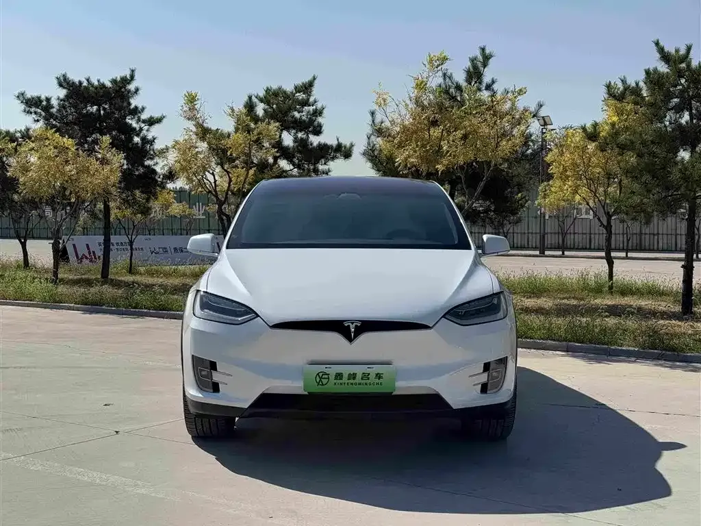 Tesla Model X — фото 9