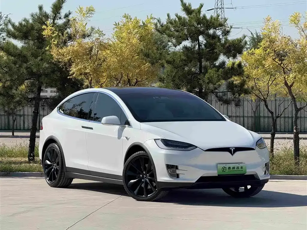 Tesla Model X — фото 7