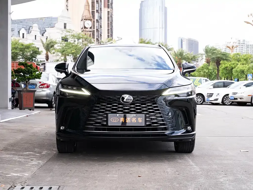 Lexus RX — фото 10