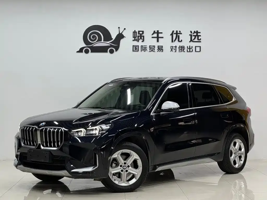 BMW X1 — фото 1