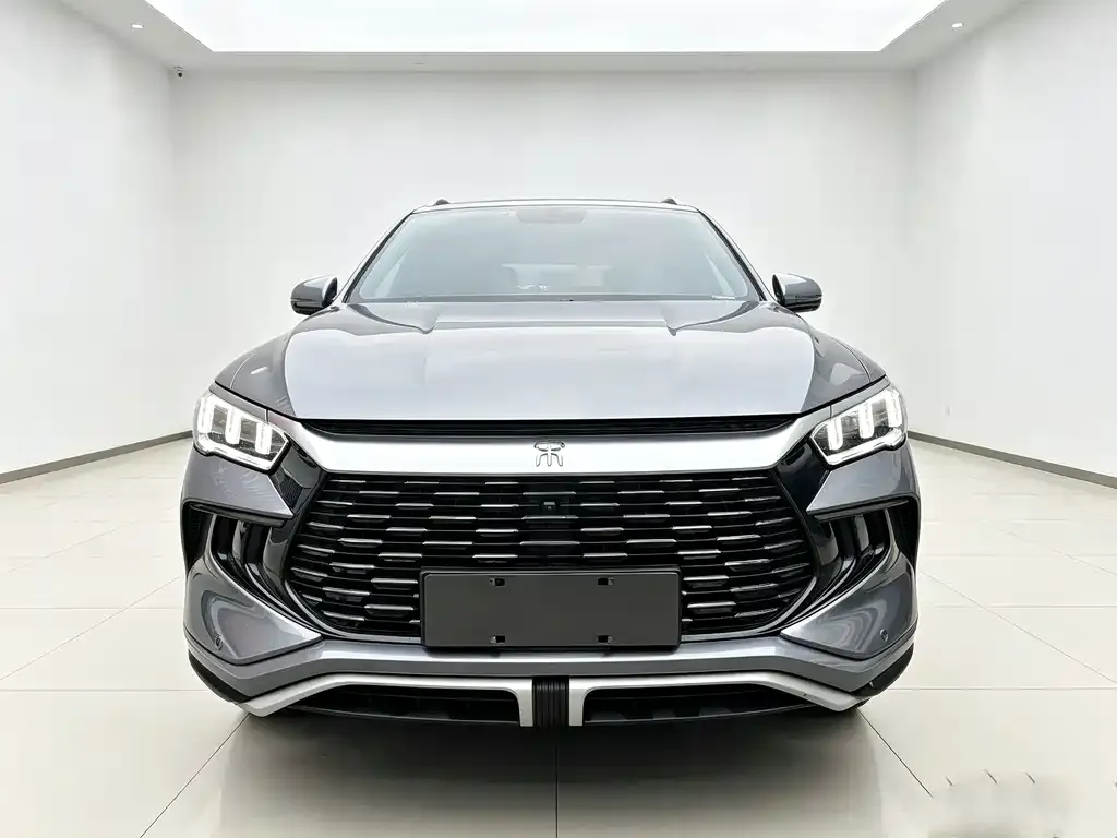 BYD Pro New Energy — фото 2
