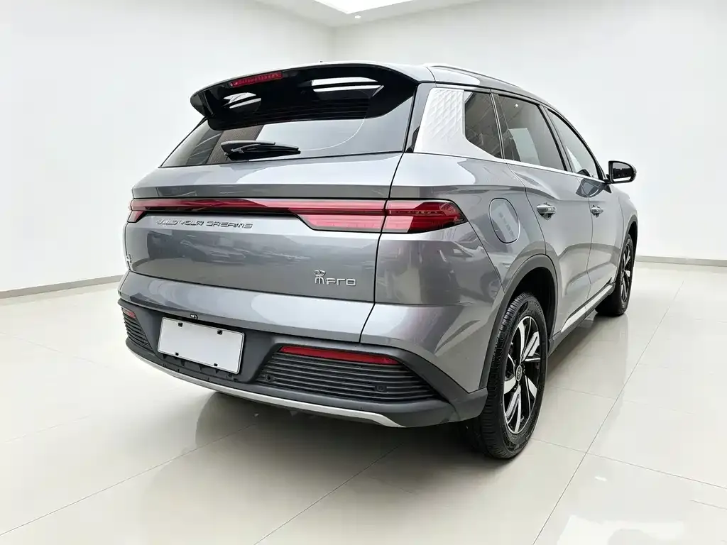 BYD Pro New Energy — фото 5
