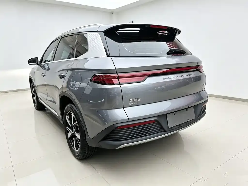 BYD Pro New Energy — фото 6