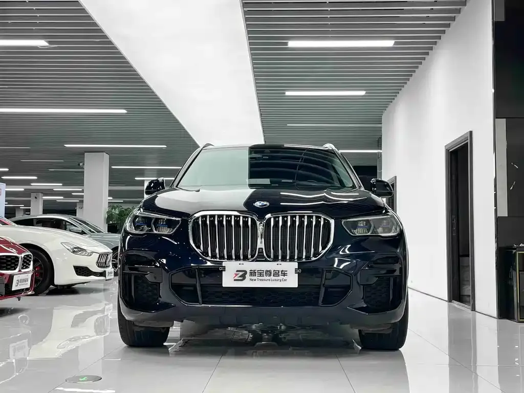 BMW X5 (Import) — фото 2