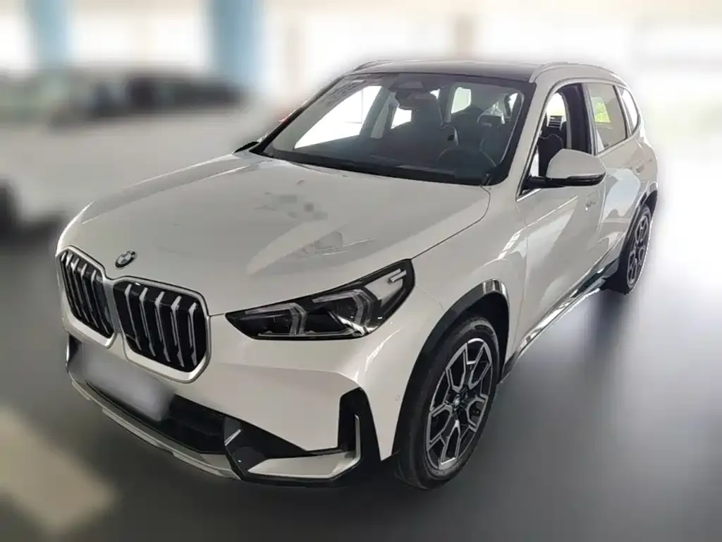 BMW X1 — фото 1
