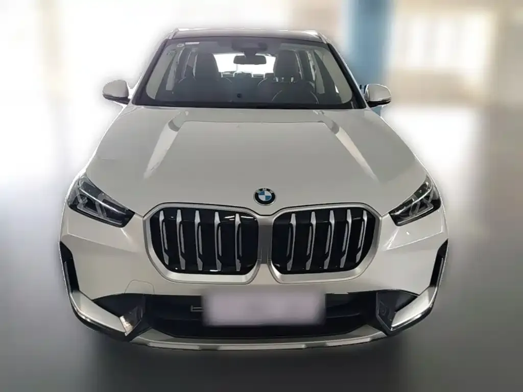 BMW X1 — фото 2