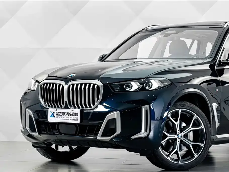 BMW X5 — фото 8