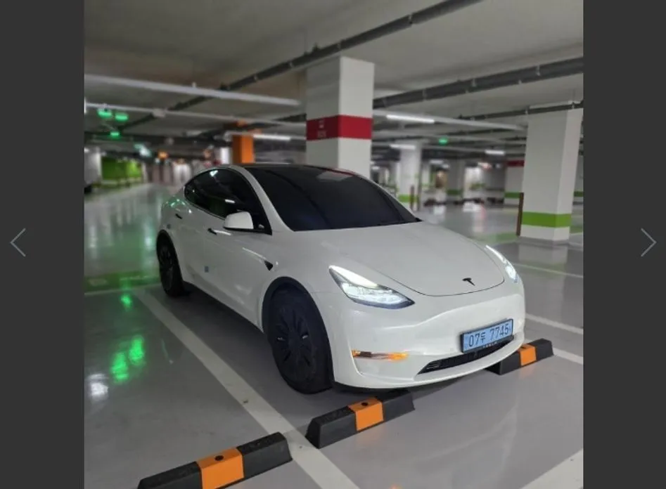 Tesla Model Y — фото 10