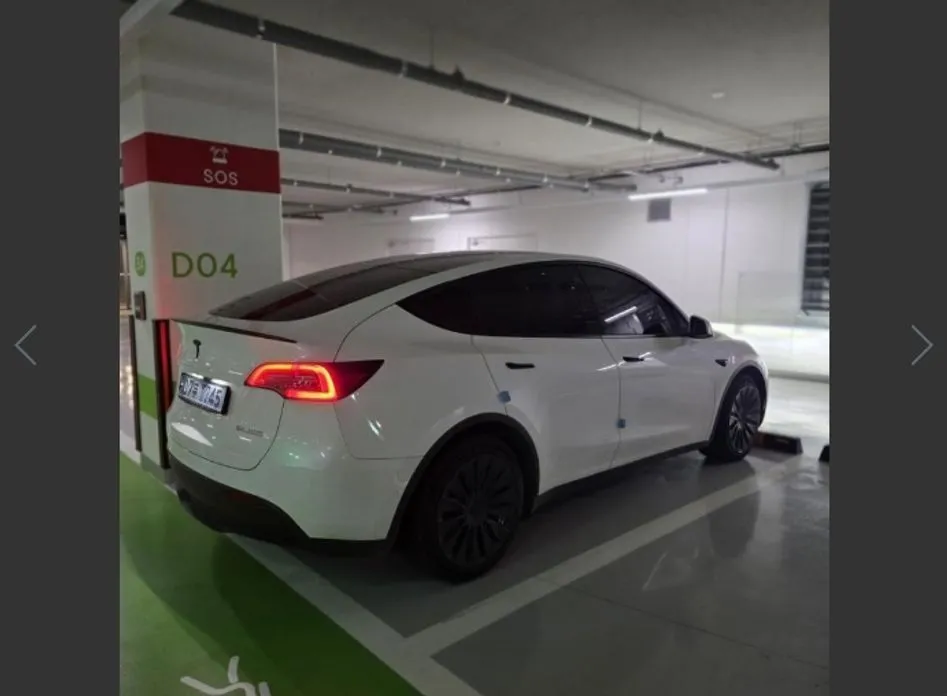 Tesla Model Y — фото 3