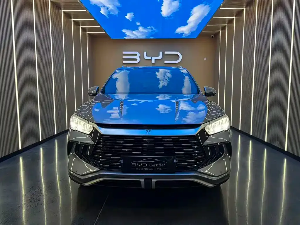 BYD Pro New Energy — фото 5