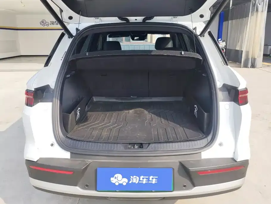 BYD Pro New Energy — фото 5